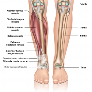 what is shin pain